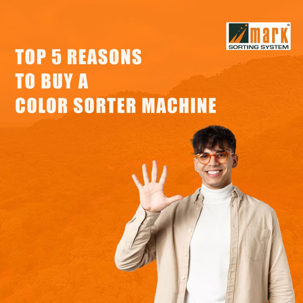 Top 5 Reasons to Buy a Color Sorter Machine